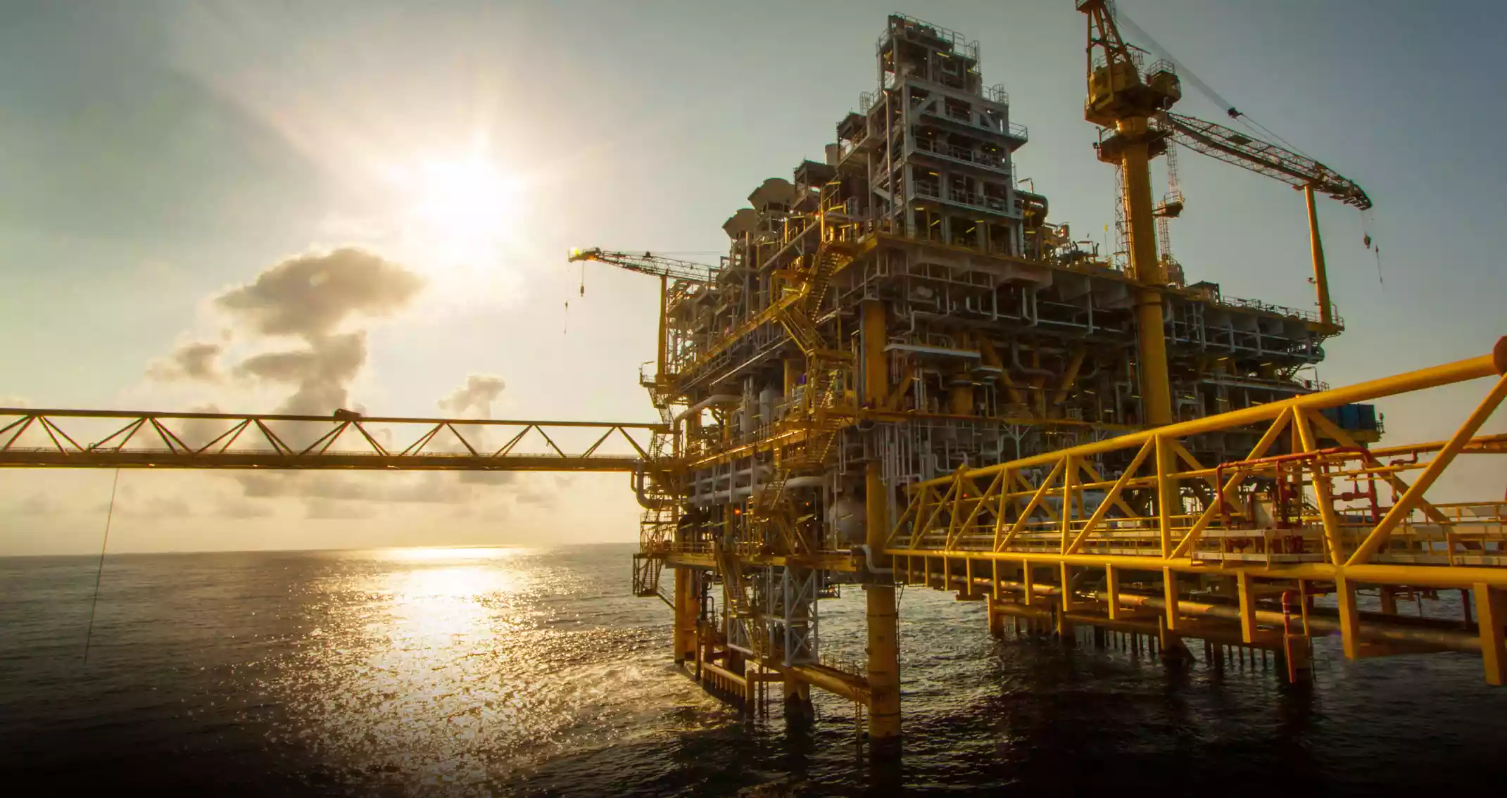 Extensive Modern Rental Fleet